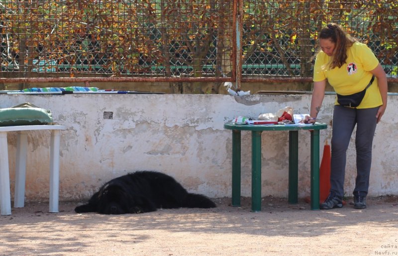 Фотография № 247842