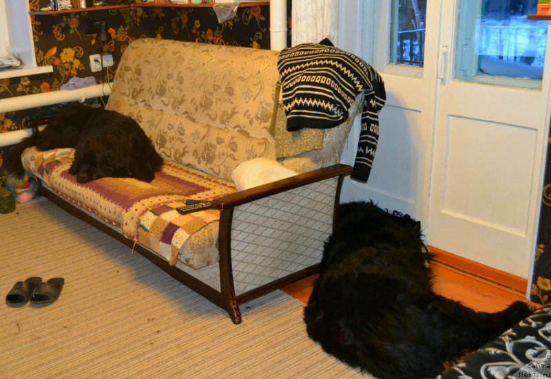 Фотография № 247847