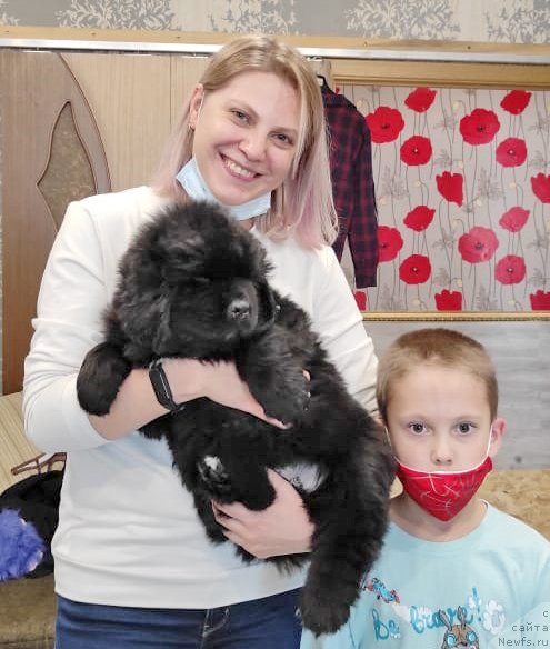 Фото: ньюфаундленд Юлитта из Племени Кедра