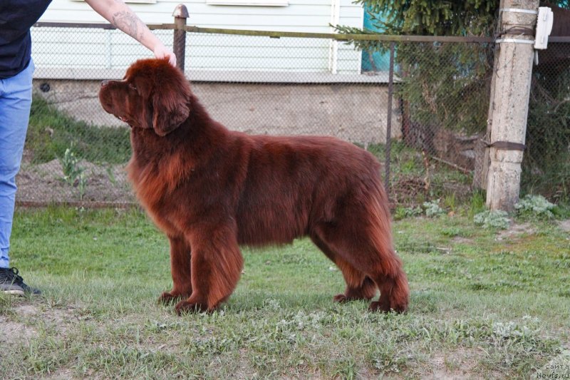 Фотография № 247891