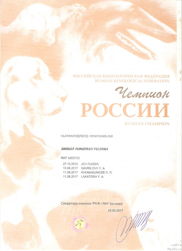 Фото: ньюфаундленд Смигар Юнгфрау Юлиана (Smigar Yungfrau Yuliana)