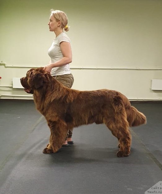 Фотография № 248018