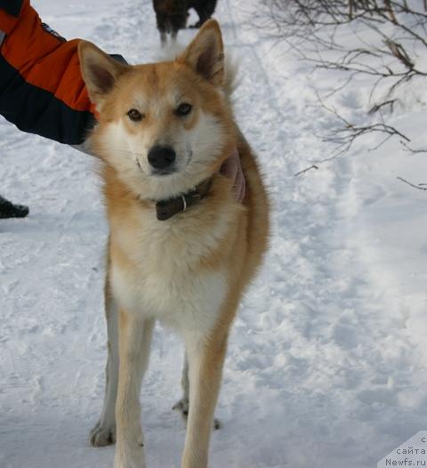 Фото: Евгения Иванова