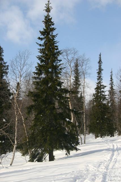 Фото: Евгения Иванова