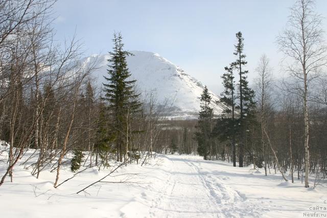 Фото: Евгения Иванова