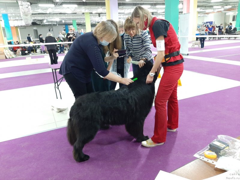 Фотография № 248061