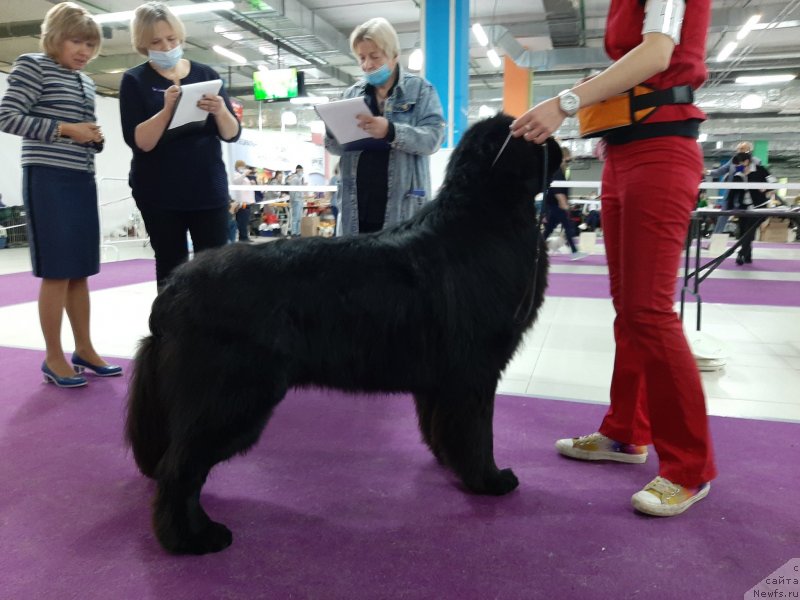 Фотография № 248066