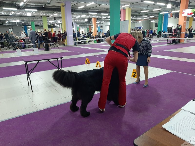 Фотография № 248067