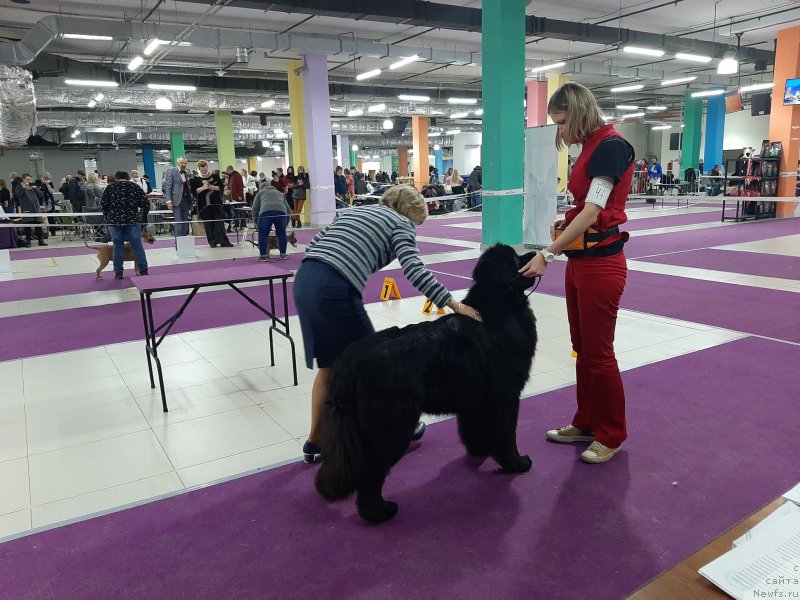 Фотография № 248068