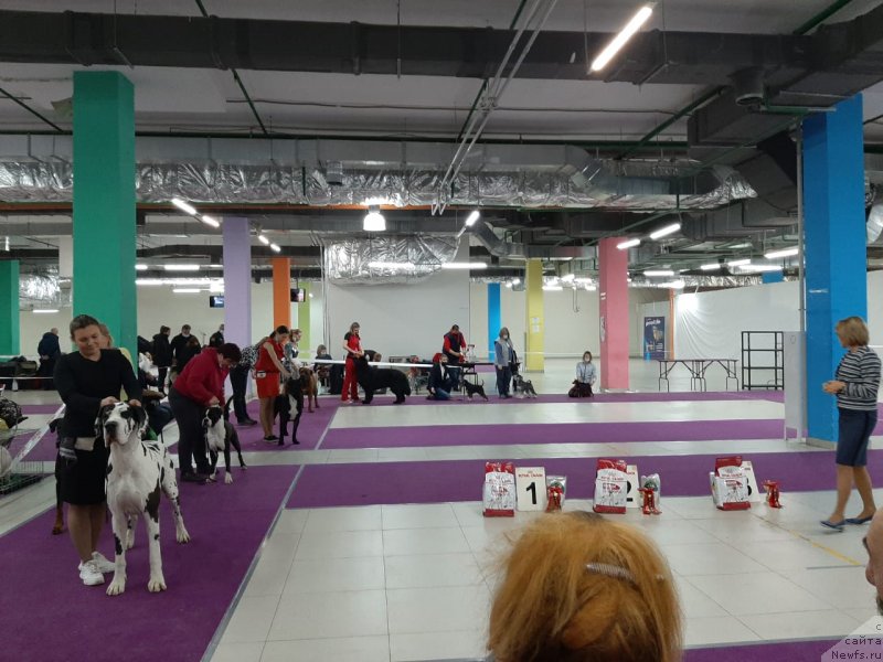 Фотография № 248070