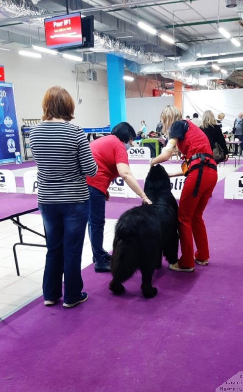 Фотография № 248071