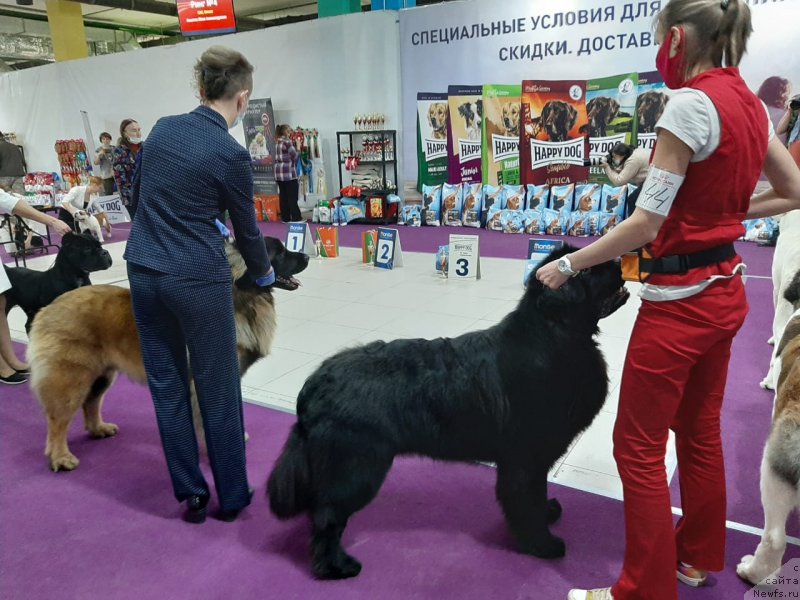 Фотография № 248078