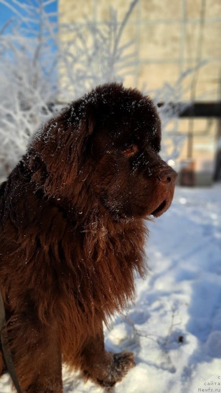 Фотография № 248086