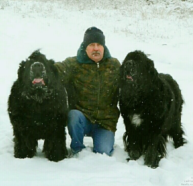 Фото: Евгений Степанов