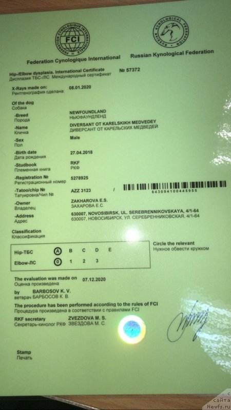 Фотография № 248093