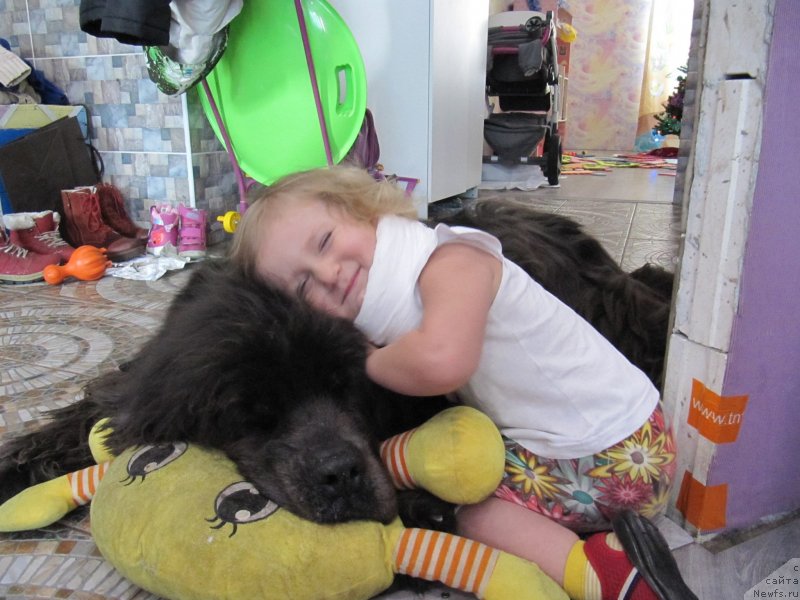 Фотография № 248106