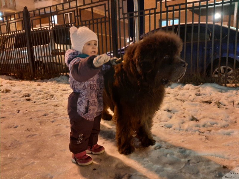 Фотография № 248125