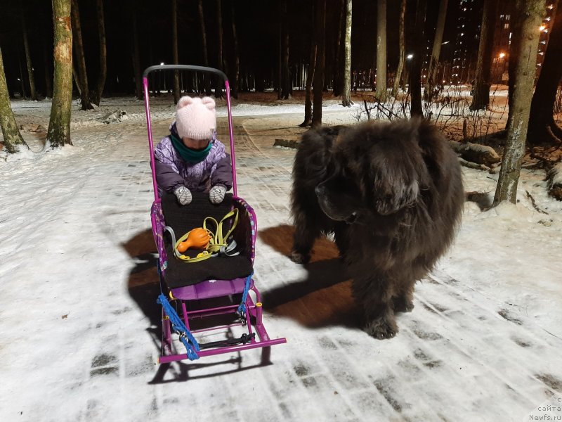 Фотография № 248127