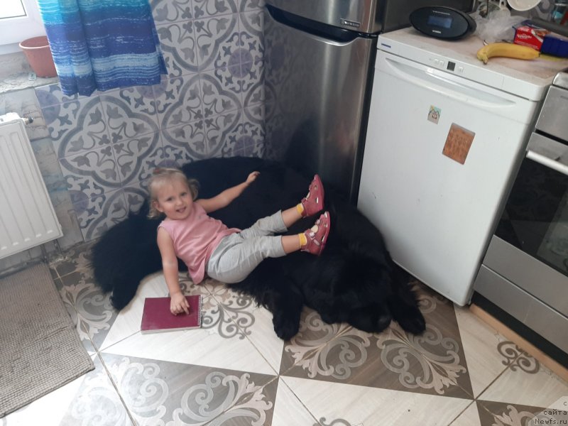 Фотография № 248129