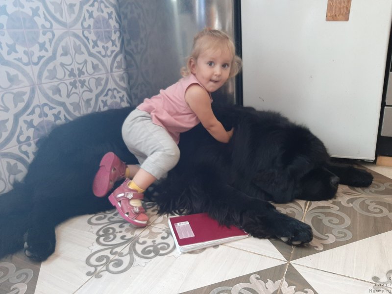 Фотография № 248131