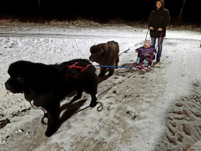 Фотография № 248133