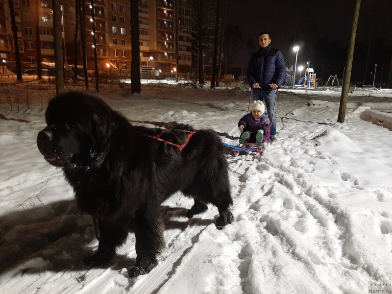 Фотография № 248134