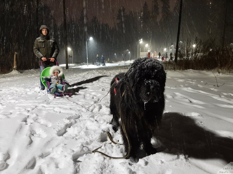 Фотография № 248135