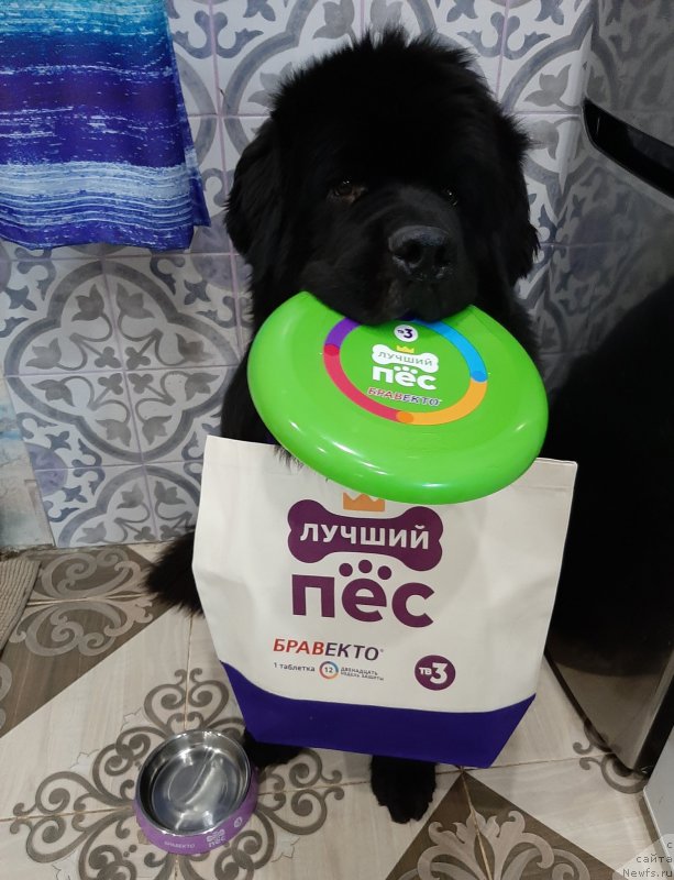 Фотография № 248143