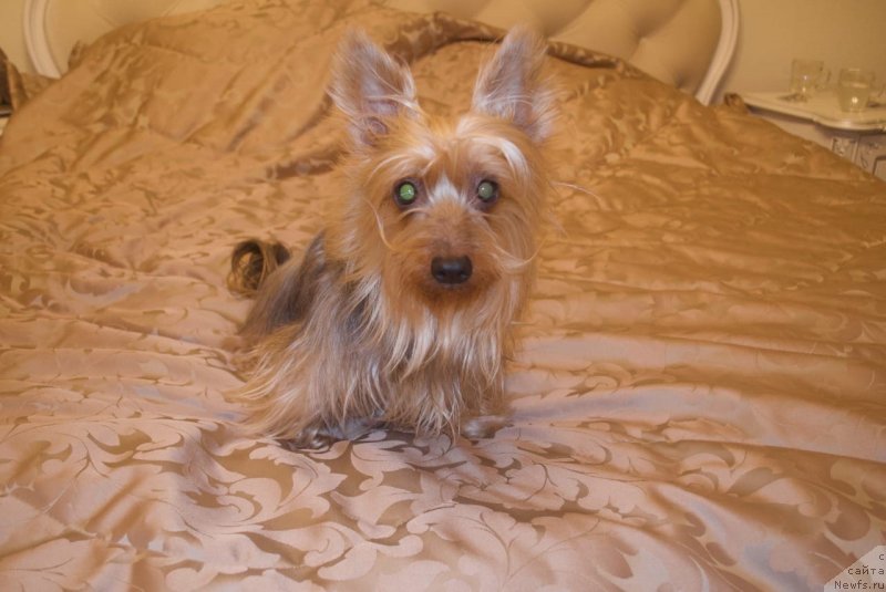 Фотография № 248145