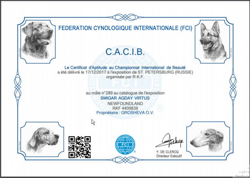 Фото: ньюфаундленд Смигар Агдай Виртус (Smigar Agday Virtus)