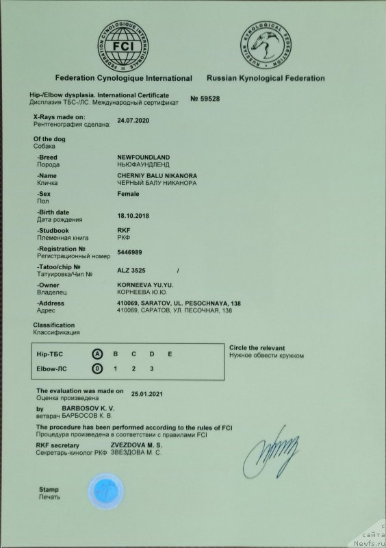 Фото: ньюфаундленд Черный Балу Никанора (Cherniy Balu Nikanora)