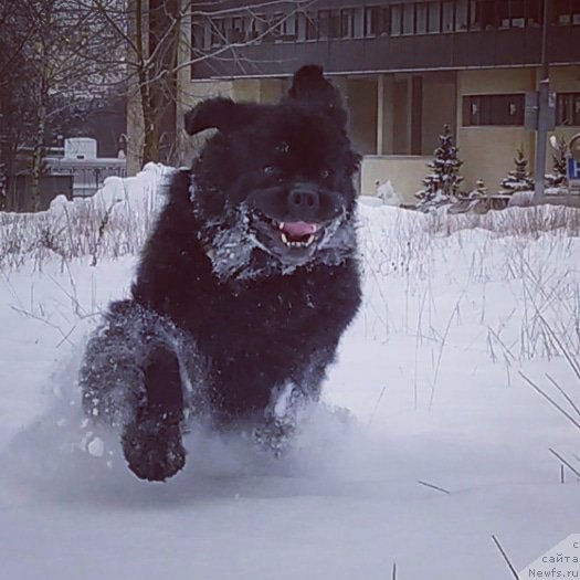 Фотография № 248190