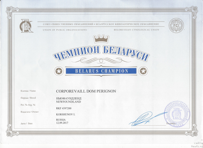 Фото: ньюфаундленд Corporevaill Dom Perignon, ньюфаундленд Corporevaill Dom Perignon