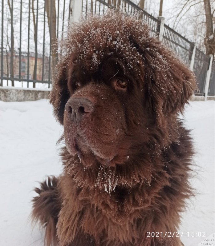 Фотография № 248272