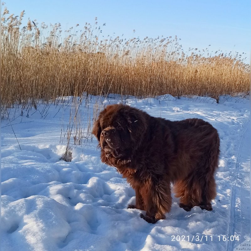 Фотография № 248273