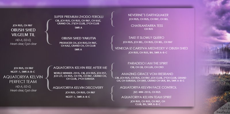 Фото: ньюфаундленд Обуш Шед Вильгельм Тиль, ньюфаундленд Акватория Келвин Перфект Тим