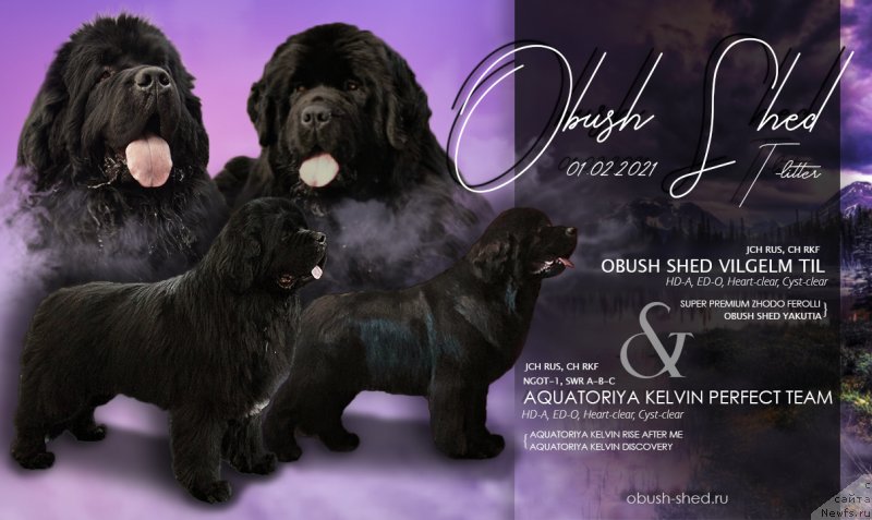 Фотография № 248275