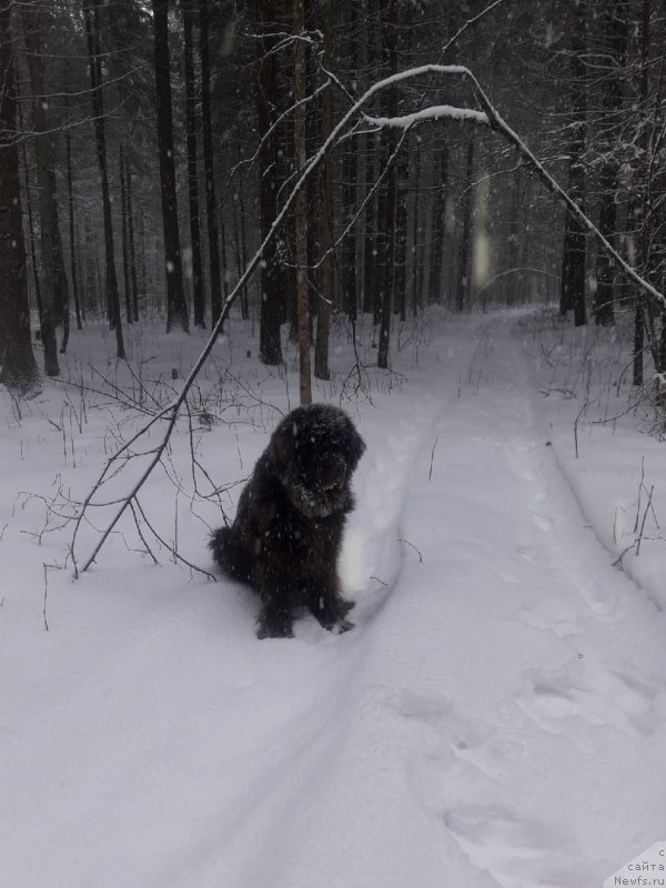 Фотография № 248276