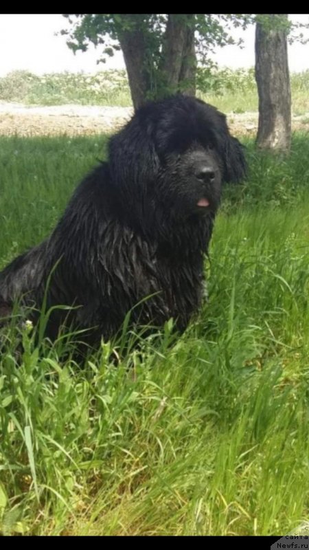 Фотография № 248332