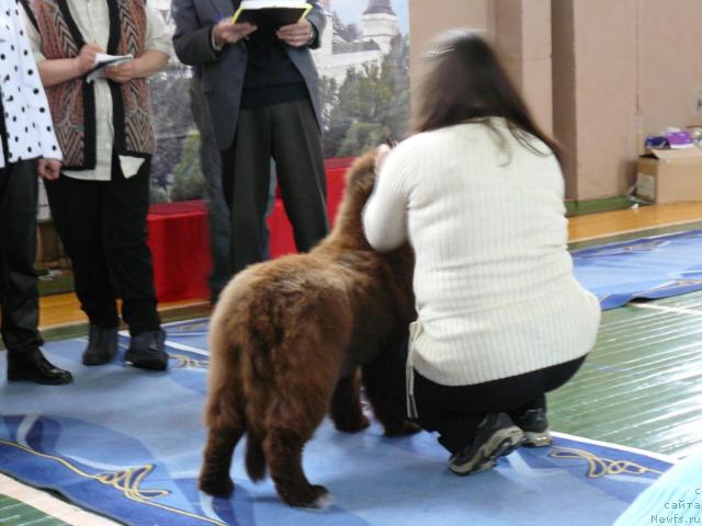 Фотография № 24836