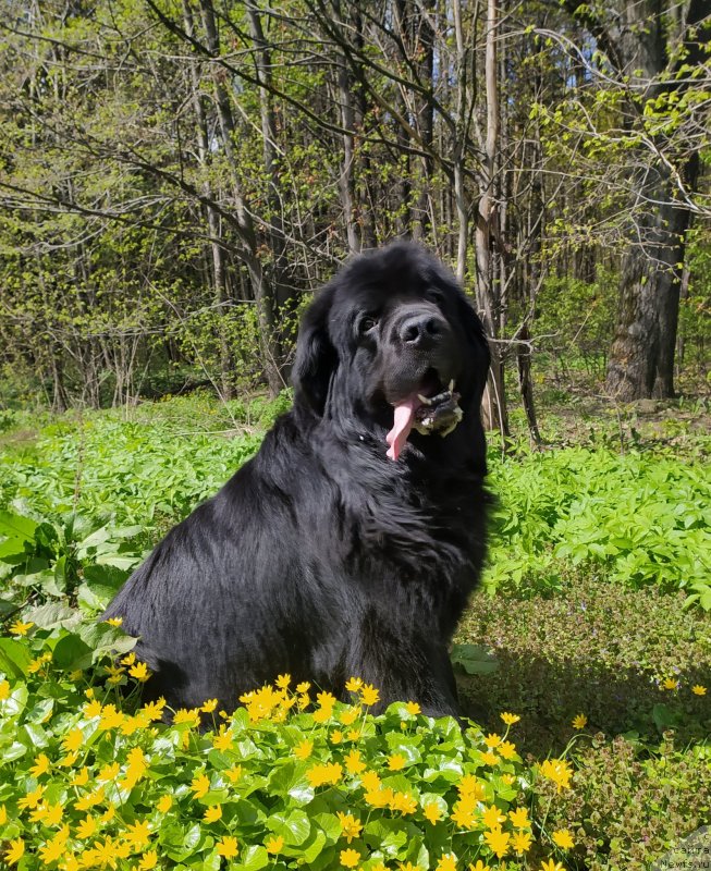 Фотография № 248371