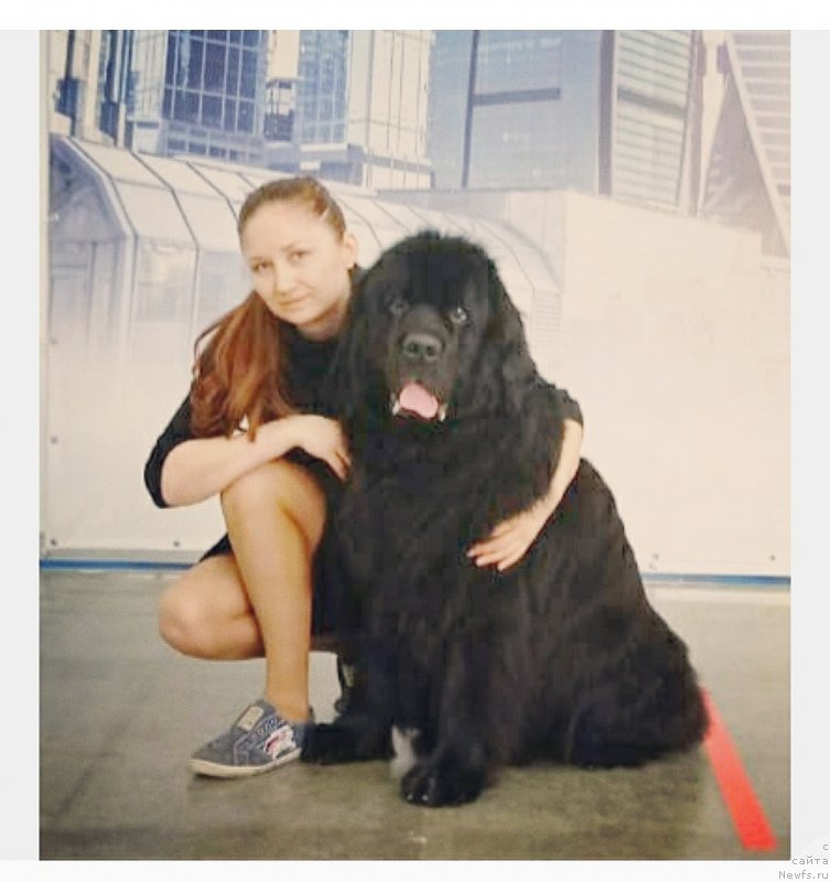 Фотография № 248378