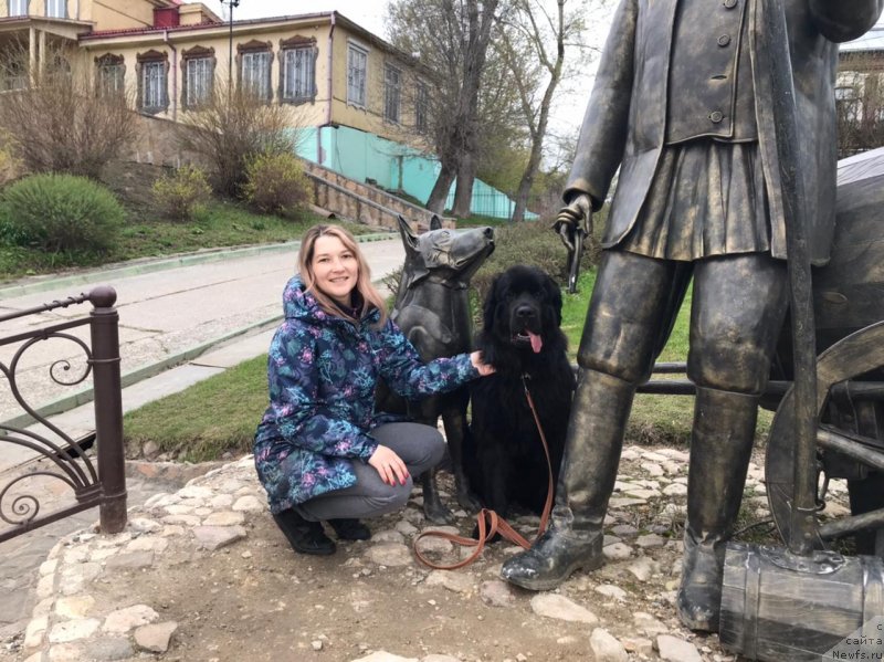 Фото: ньюфаундленд Елизара Тауэр