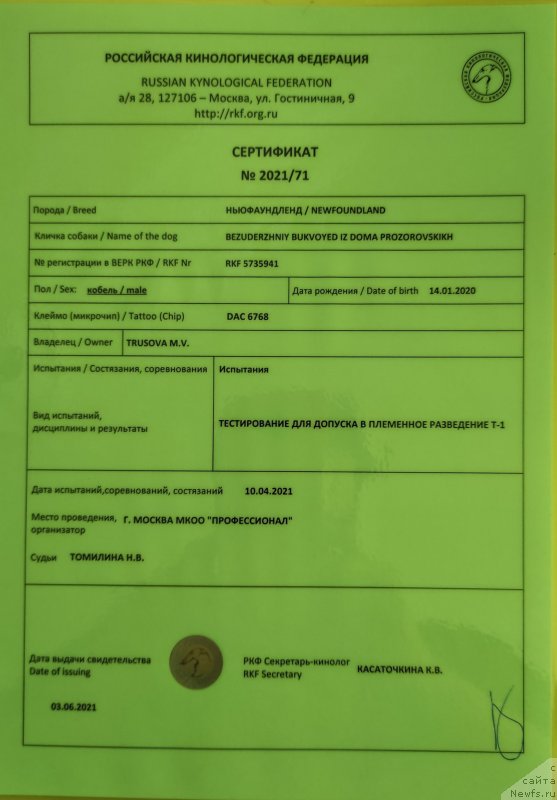 Фото: ньюфаундленд Безудержный Буквоед из Дома Прозоровских (Bezuderzhniy Bukvoyed iz Doma Prozorovskikh)