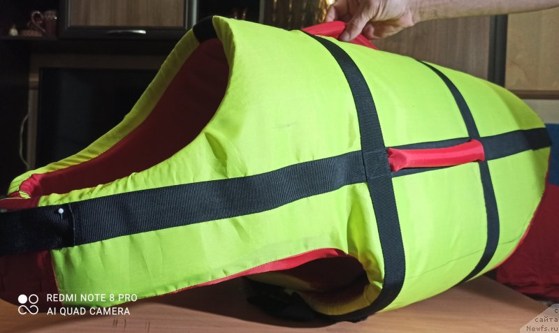 Фотография № 248515