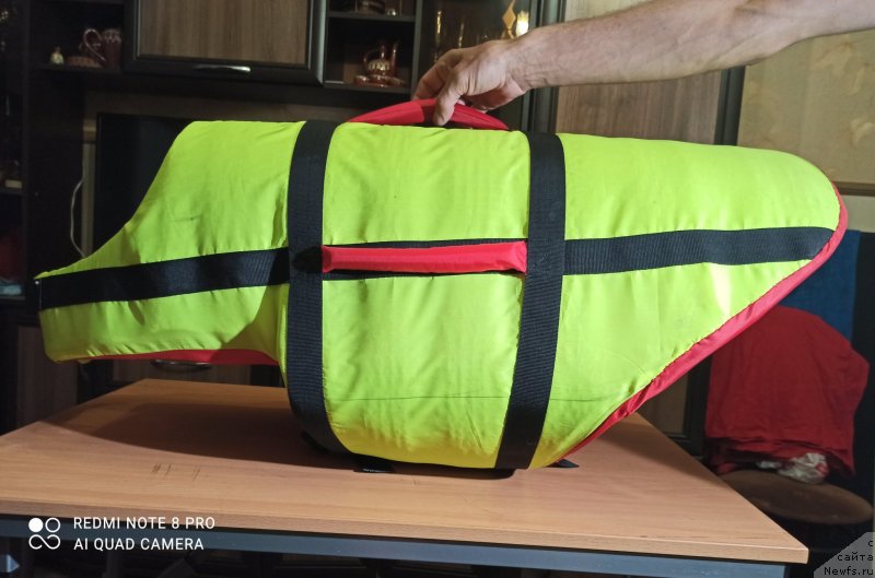 Фотография № 248516