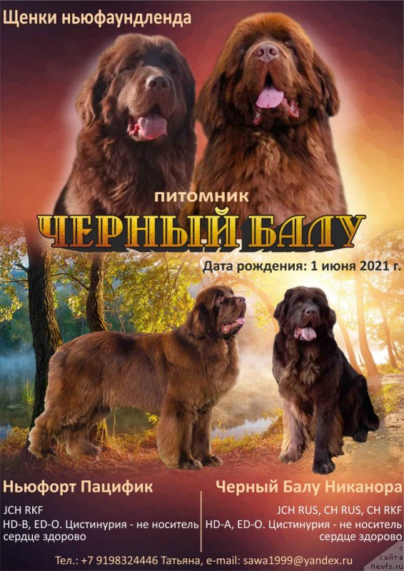 Фотография № 248524