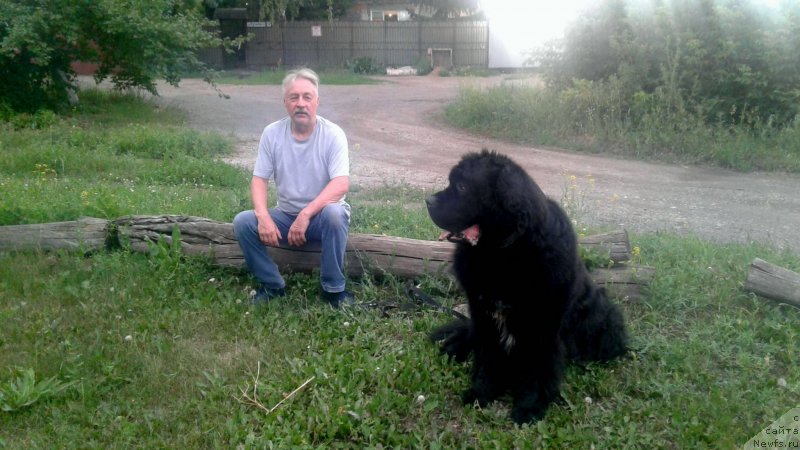 Фотография № 248527