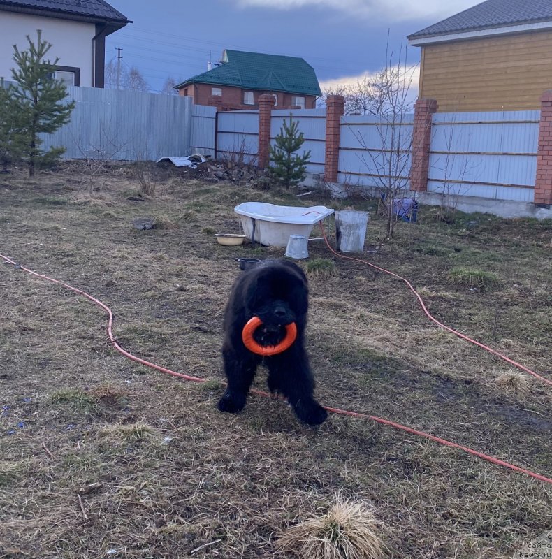 Фотография № 248548