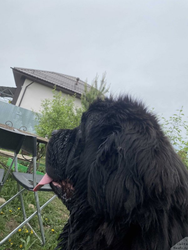 Фотография № 248550